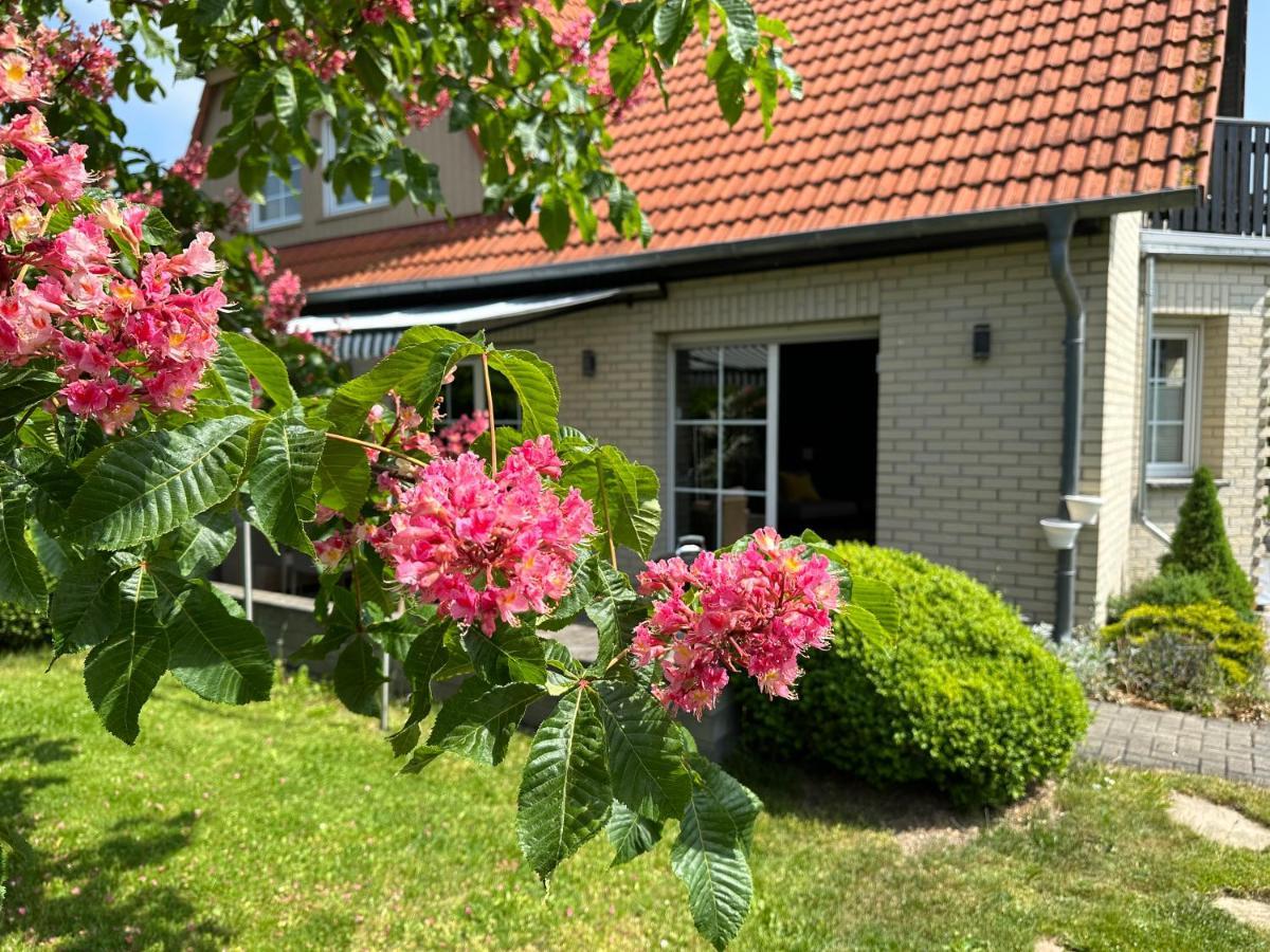 Familienurlaub Im Gruenen Wernigerode Exterior foto