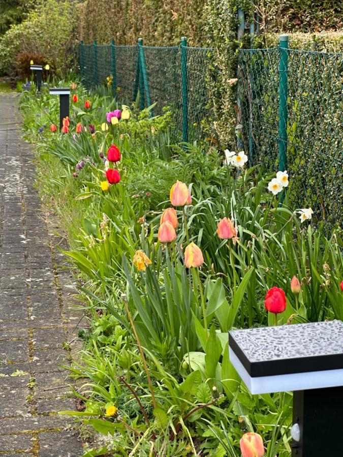 Familienurlaub Im Gruenen Wernigerode Exterior foto